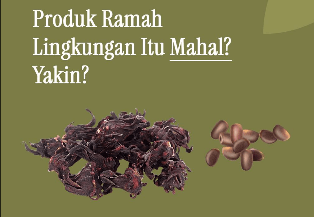 apakah-produk-ramah-lingkungan-itu-mahal-memahami-biaya-haircare-herbal-yang-ramah-lingkungan